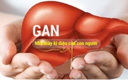 Bảo vệ gan trước những ‘kẻ thù thầm lặng’ mỗi ngày