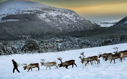 Theo chân ‘bạn đồng hành cùng ông già Noel' ở Scotland