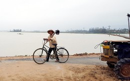 Mưa lụt khác thường, hàng ngàn hecta lúa mới sạ bị ngập