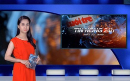 Hơn 43 ha rừng tự nhiên ở Bình Định đã bị xóa sổ
