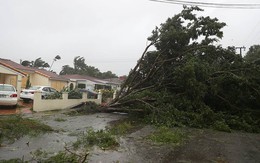 Bão Irma trút cơn thịnh nộ xuống Florida