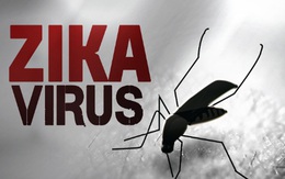 Vĩnh Long phát hiện ca nhiễm virus Zika đầu tiên