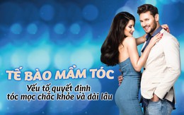 Tế bào mầm tóc - yếu tố quyết định tóc mọc chắc khỏe và dài lâu