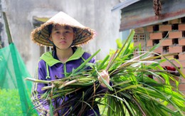 Bước qua gian khó vào đại học