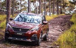 Peugeot nâng bảo hành 5 năm cho xe 5008, 3008 Allnew