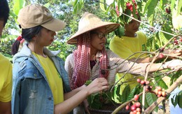 Sinh viên lên rẫy học làm kinh tế xanh