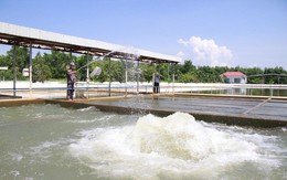 Yêu cầu vận hành cấp nước đủ cho thành phố Đà Nẵng