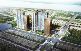 DKRA VIETNAM phân phối độc quyền dự án CitiAlto