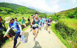 Làm gì để thể thao trở thành cỗ máy in tiền?