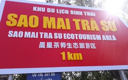 Sẽ thay pano có tiếng Trung Quốc ở rừng tràm Trà Sư?