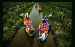 Ngây ngất với thiên nhiên và đời sống người Việt  qua ảnh