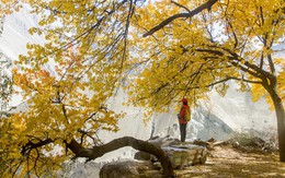 Huyền thoại mùa thu ở Hunza - miền Bắc Pakistan