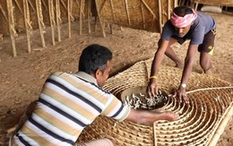 Làm Sari từ nước thải