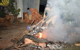 Nam thanh niên nghi bị trăn quấn chết ở Đồng Nai