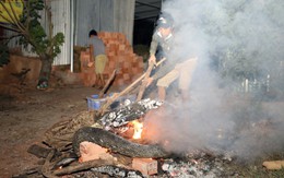 Trăn quấn chết nam thanh niên ở Đồng Nai