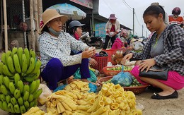 Chuyện lạ của người Tà Ôi - kỳ 3: Những nhà buôn năng động