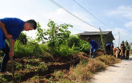 Về Biển Bạch mùa khô hạn