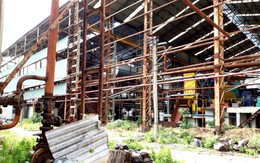 Nợ hàng chục tỉ đồng, chủ nhà máy đường Ấn Độ biệt tăm