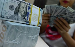 Doanh nghiệp 'găm' ngoại tệ, gửi ngân hàng thay vì làm ăn