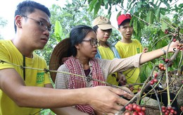Đường về tự nhiên của nông dân trẻ