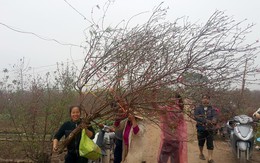 Mẹ ơi thế giới mênh mông nhưng con phải quay về