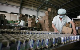 Bí quyết giúp mẹ an tâm hơn khi cho bé đi chơi Tết