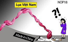 Tình anh bán lụa