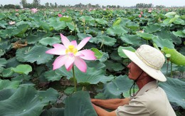 Năm mới nghĩ mới, làm mới