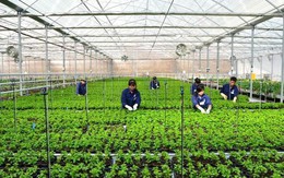 Thông điệp cho nông dân khởi nghiệp
