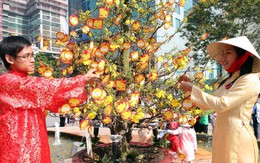 Có tiếng cười chạy quanh ngày cũ...