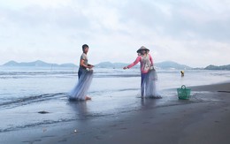 Tranh chấp bãi bồi đang ngày càng gay gắt