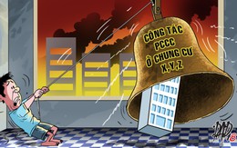 Cảnh báo nghiêm khắc từ Carina Plaza