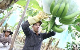 Ăn gì để tránh bị co cứng cơ?