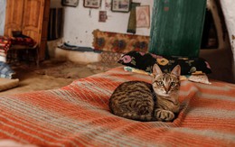 Cuộc sống của các gia đình dưới lòng đất ở Tunisia