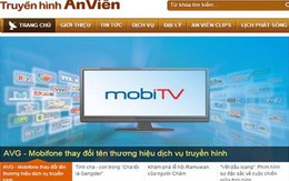 Ban Bí thư đề nghị khẩn trương xử lý vụ MobiFone mua AVG