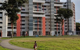 Chung cư HDB Singapore: 'Thảm họa' cho chủ hộ nếu mèo... chui vô nhà