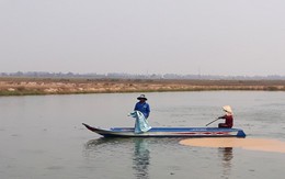 Long An sẽ phạt người tự ý đào ruộng lúa làm ao nuôi cá