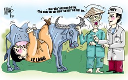 Vì sao nông dân chưa giàu?