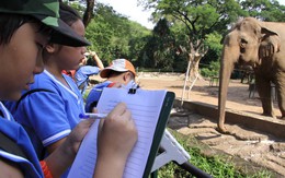 Lo thon thót khi con đi dã ngoại
