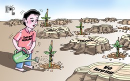Cuộc đời sẽ nở hoa