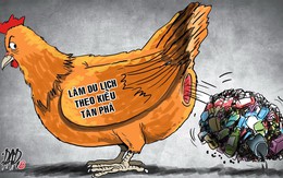Đừng giết con gà chỉ để lấy trứng