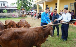 'Chúng tôi có nghề sinh nhai rồi'