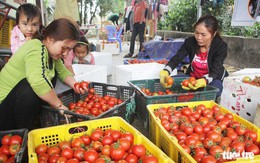 Lấy gì để 5 năm sau nông dân thu nhập 66 triệu đồng mỗi năm?