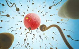 Trung Quốc áp tiêu chí phẩm chất chính trị với người hiến tinh trùng