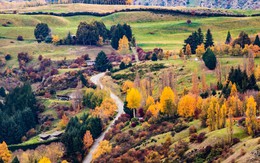 New Zealand - mùa thu mê đắm lòng người