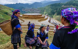 Thu tiền vé triển lãm ‘Mây pha lê’, nhiều du khách bỡ ngỡ