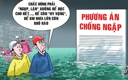 Quốc hội và chuyện... phố thành sông