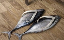 Những thiết kế kỳ dị