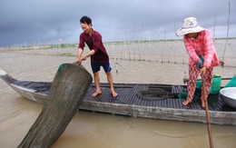 Nhìn thiên nhiên - đoán thời tiết