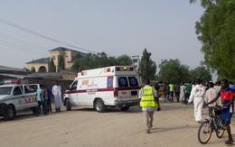 Nigeria giải cứu hơn 1.000 con tin của phiến quân Boko Haram